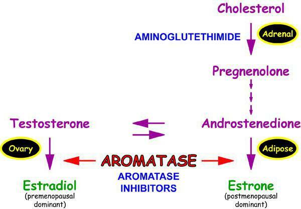 inhibitori de aromatază