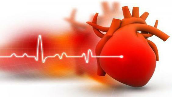 What is dangerous for hypertension and why the site of the heart muscle