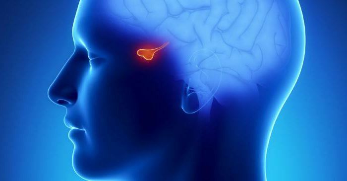 diseases associated with the pituitary gland