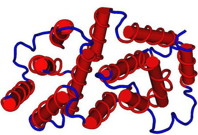 inducers of interferon drugs in autoimmune diseases