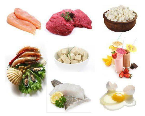 the content of proteins and carbohydrates in products table