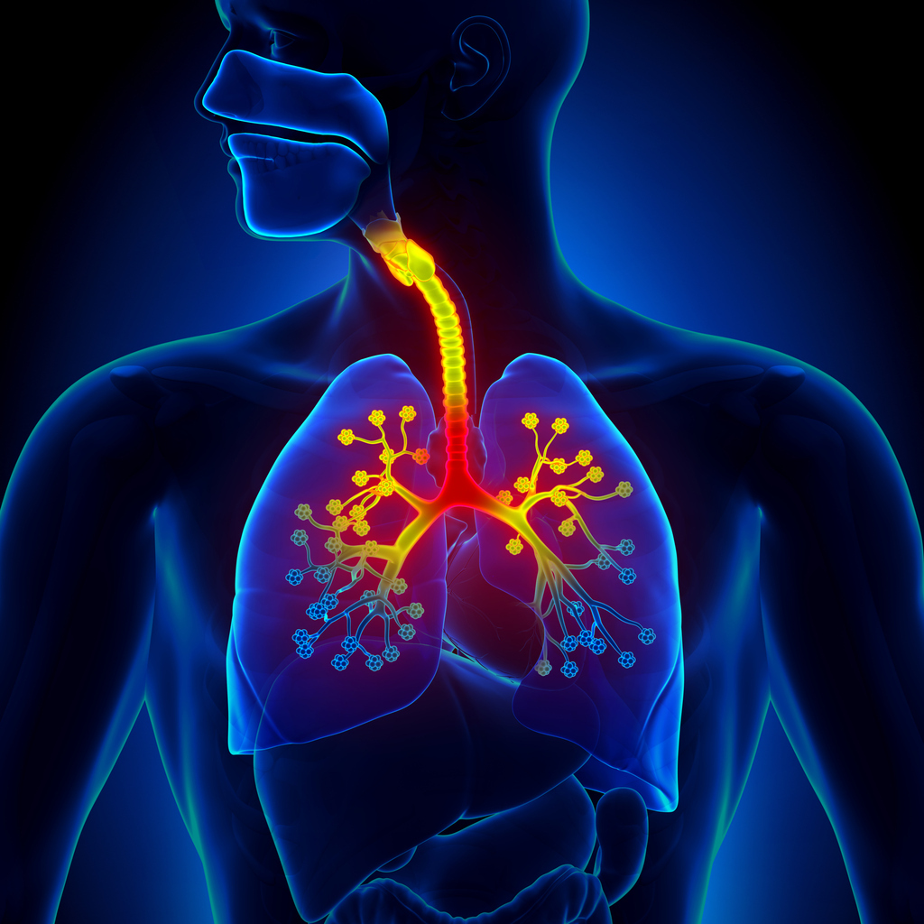 surfactante pulmonar