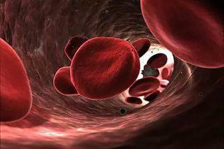 red blood cells in men