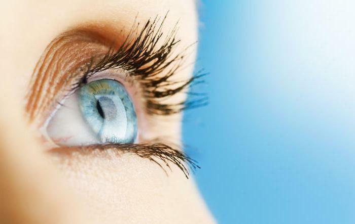 Rossolimo eye diseases