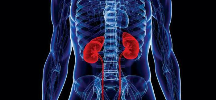 chronic nephritis