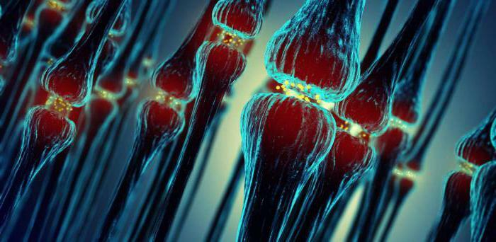 means affecting the cholinergic synapses