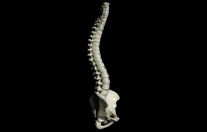 torakal vertebra sıkışma kırığı