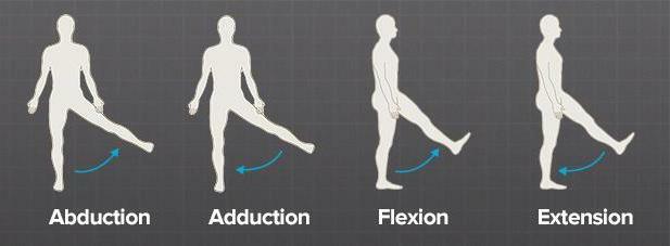 Нога согнута в тазобедренном суставе. Отведение и приведение в тазобедренном суставе. Движения в тазобедренном суставе. Сгибание и разгибание в тазобедренном суставе. Согнутая нога в тазобедренном суставе.