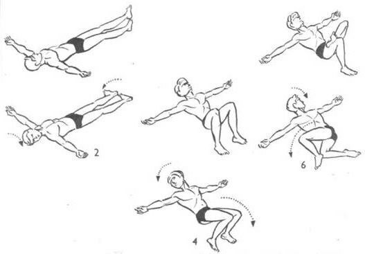 a set of exercises of a crocodile