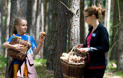 whether it is possible for children to give mushrooms from how many years