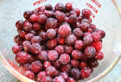 bilberry berries useful properties