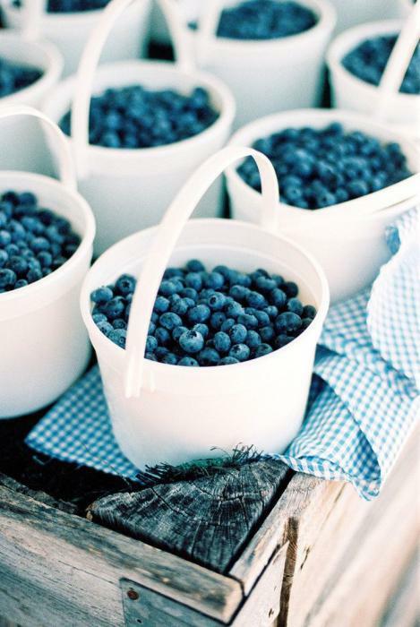 blueberry fresh