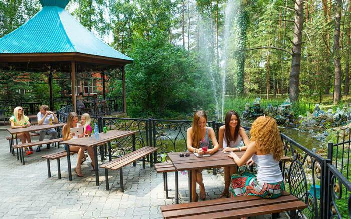 Pine Forest of Tatarstan village of Vasilyevo