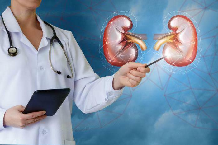 Urea and creatinine analysis