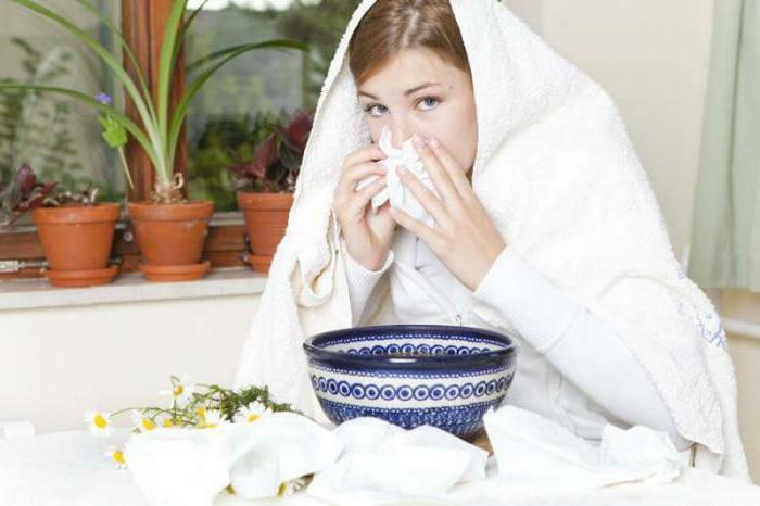 treatment of sinusitis chestnut at home reviews