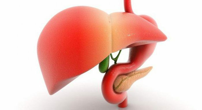 chronic cholecystitis in children