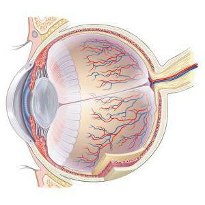 pathologies of sclera