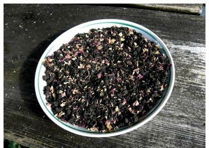 ivan teaspoon angustifolia useful properties