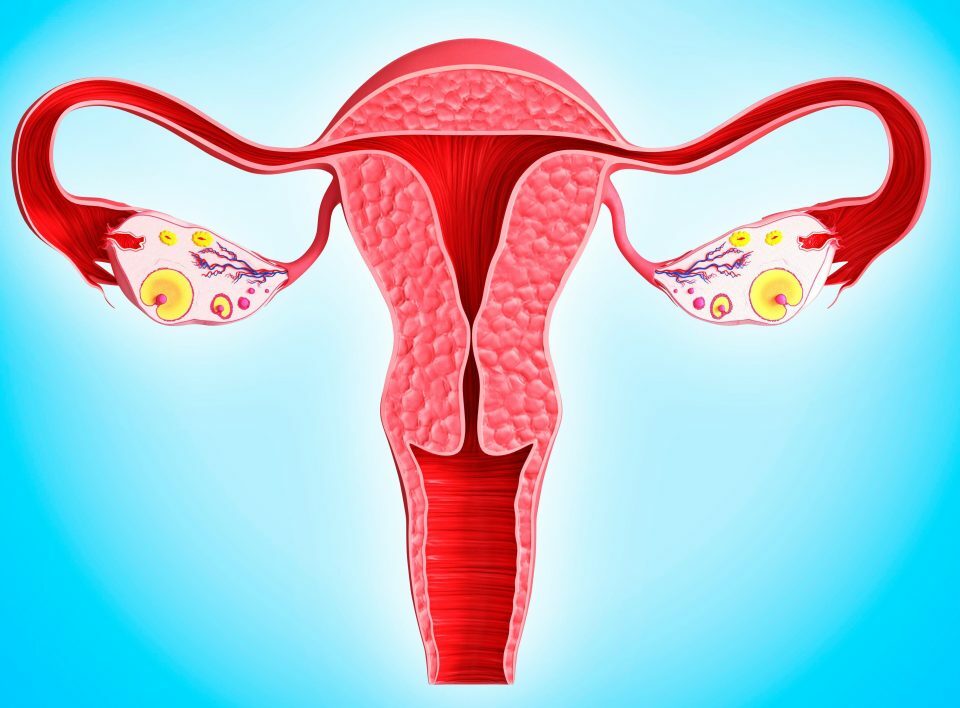 histology of ovarian tumor