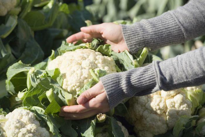 Is it possible to eat a cauliflower of raw pregnant women