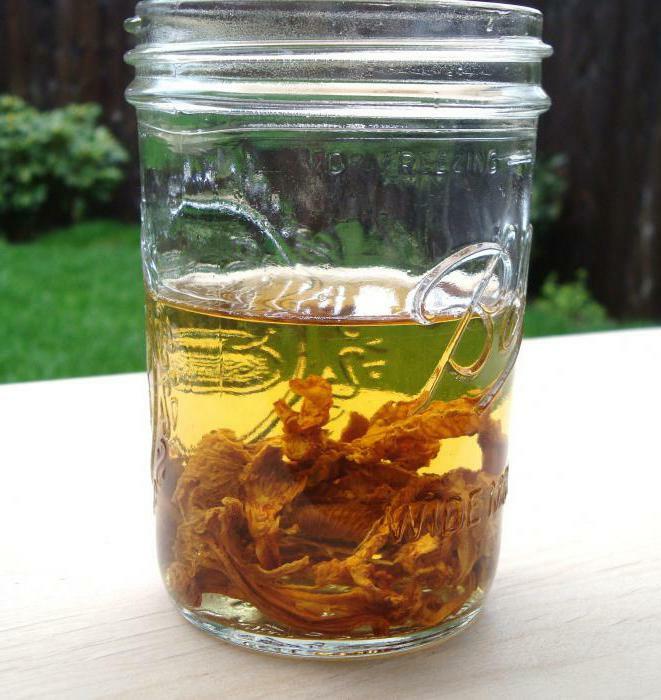 tincture of chanterelle on vodka from cancer