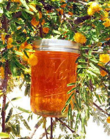 honey herbs useful properties
