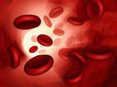 elevated gemmoglobin in the blood that it means