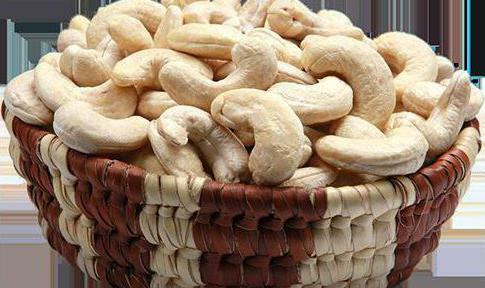 cashews useful properties and contraindications to pregnant women