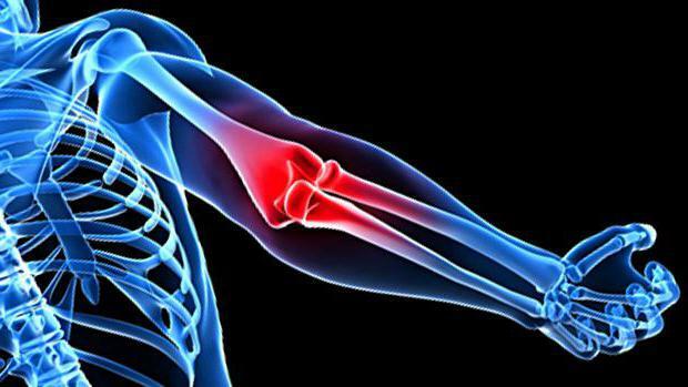 topographic anatomy of the elbow joint