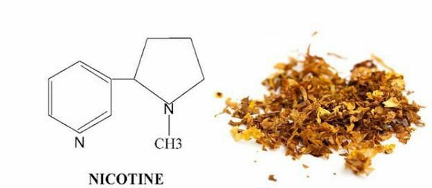 through how much nicotine leaves the body