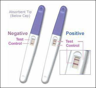How does the ovulation test work?