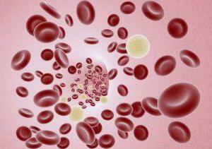 leukocytosis in children under one year of age
