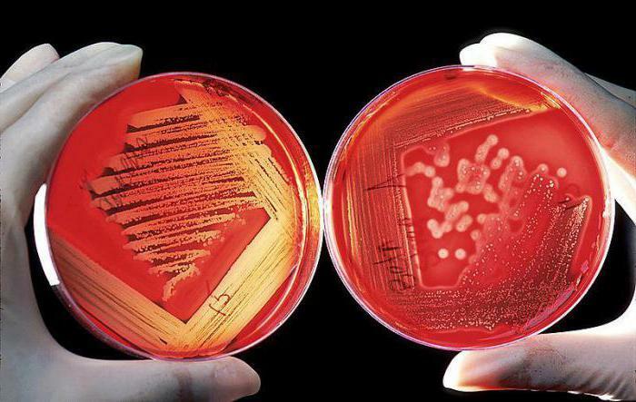 how-many-blood-groups-abo-and-rh-blood-groups-body-fluids-and