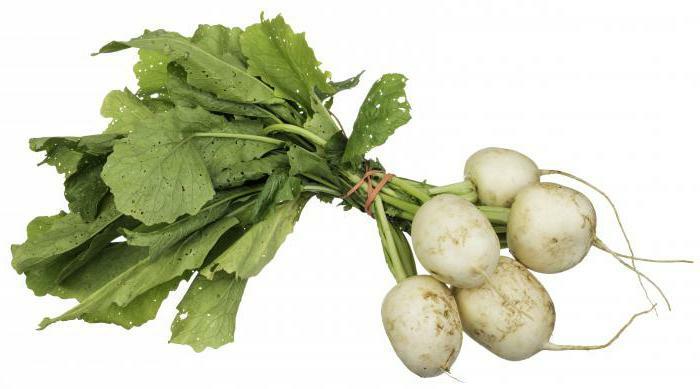 turnip useful properties and contraindications
