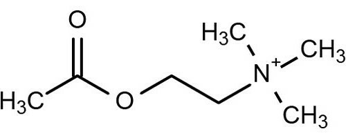 acetylcholín